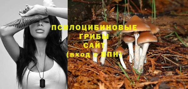 первитин Краснослободск