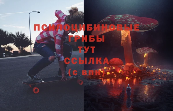 крисы Аркадак