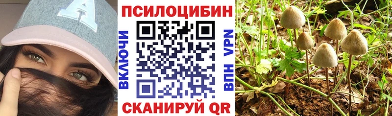 купить закладку  Яблоновский  Галлюциногенные грибы прущие грибы 
